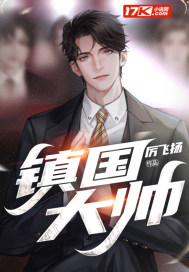 镇国大帅