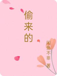 偷来的
