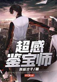 超感鉴宝师