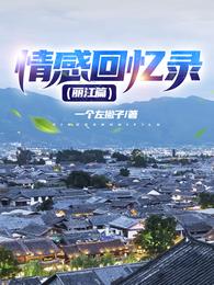情感回忆录（丽江篇）