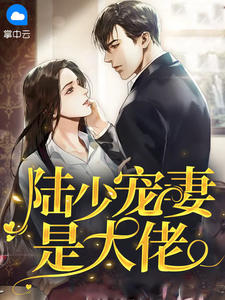 陆少宠妻是大佬