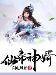 仙帝神婿