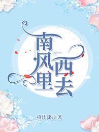 南风里西去