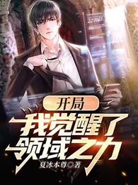 开局我觉醒了领域之力
