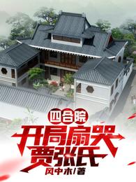 四合院：开局扇哭贾张氏