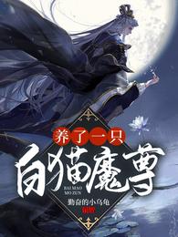 养了一只白猫魔尊