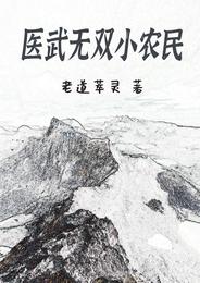 医武无双小农民