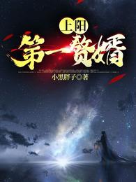 上阳第一赘婿