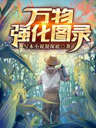 万物强化图录