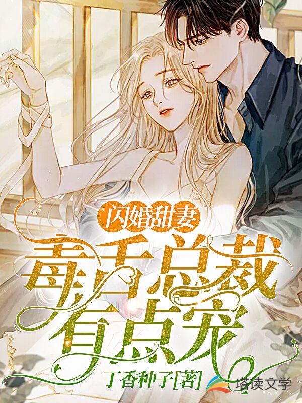闪婚甜妻： 毒舌总裁有点宠