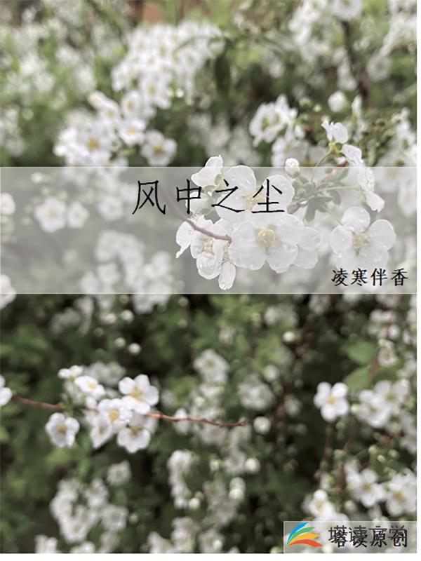 风中之尘