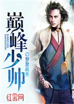 巅峰少帅