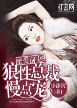 蜜爱前妻：狼性总裁慢点宠