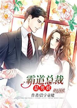霸道总裁是男妖