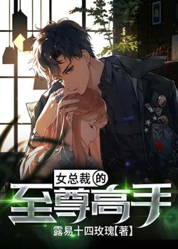 女总裁的至尊高手