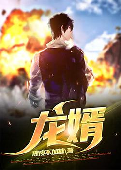龙婿