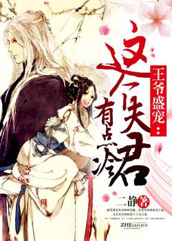 王爷盛宠：这个夫君有点冷