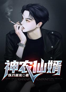 神农仙婿（又名： 极品小郎中）