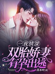 一夜情深：双胎娇妻，有孕出逃