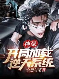 神豪：开局加载逆天系统