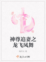神尊追妻之龙飞凤舞